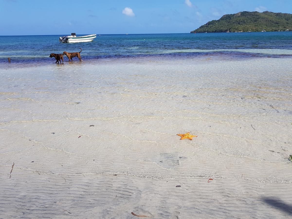 Posada Old Town Bay Providencia  المظهر الخارجي الصورة
